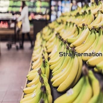 Formation responsable de rayon à Strasbourg en Alsace