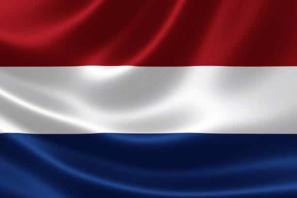 Néerlandais / Hollandais (visio / présentiel)