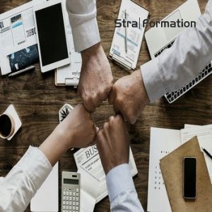 Formation commercial vente manager commercial animer la force de vente en Alsace