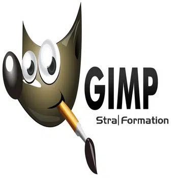 Logiciel GIMP (visio / présentiel)
