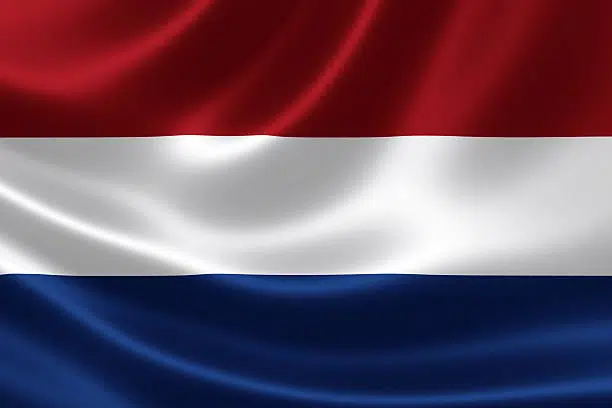 Néerlandais / Hollandais (visio / présentiel)